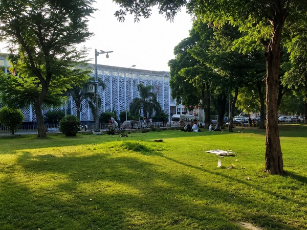 🔥 سانحہ پمز؛ جوائنٹ ایگزیکٹو ڈائریکٹر سمیت 4 افسران نے تحریری بیانات جمع کرا دیے، نئے سیکریٹری صحت کا اسپتال کے باہر خصوصی کیمپ قائم