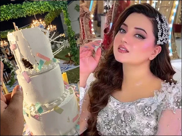 ٹک ٹاکر ربیکا خان کی سالگرہ پر پانچ منزلہ کیک گر گیا؛ شدید گرمی کے باعث تقریب میں انوکھا واقعہ! 🎈✨