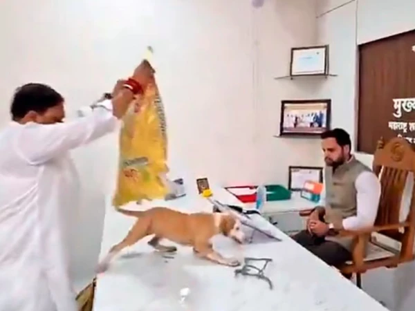 آوارہ کتوں کے خلاف انوکھا احتجاج؛ مظاہرین نے سرکاری دفتر میں کتے چھوڑ دیے! 🇮🇳🐾