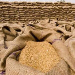 سندھ میں فلور ملز کو 15 اکتوبر سے سرکاری گندم رعایتی نرخ پر جاری کرنے کی منظوری! 📉🍞 سندھ میں فلور ملز کو 15 اکتوبر سے سرکاری گندم رعایتی نرخ پر جاری کرنے کی منظوری! 📉🍞
