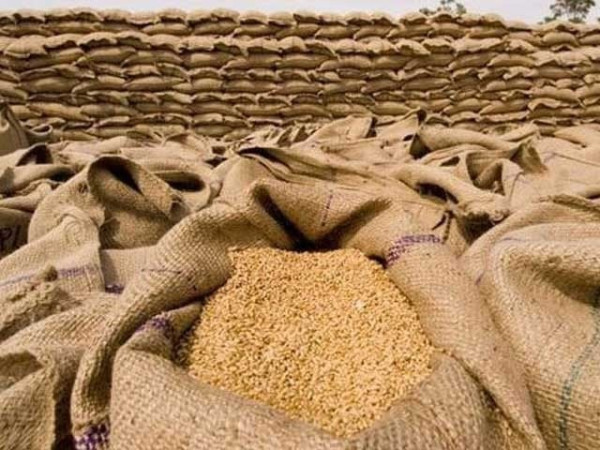 سندھ میں فلور ملز کو 15 اکتوبر سے سرکاری گندم رعایتی نرخ پر جاری کرنے کی منظوری! 📉🍞