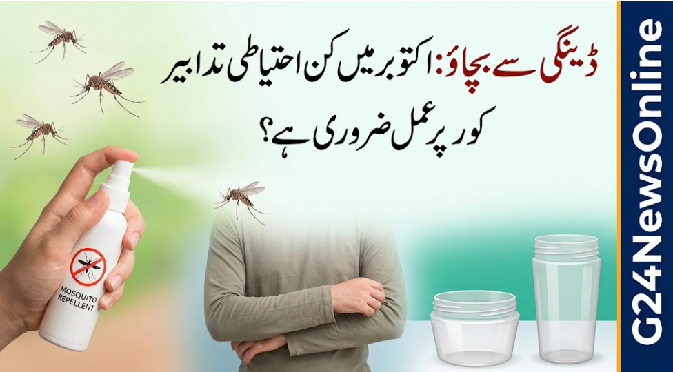 ڈینگی سے بچاؤ: اکتوبر میں کن احتیاطی تدابیر پر عمل ضروری ہے؟ ڈینگی سے بچاؤ: اکتوبر میں کن احتیاطی تدابیر پر عمل ضروری ہے؟