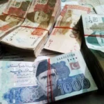 سرکاری قرضوں میں 10 سال کے دوران 340 فیصد کا تاریخی اضافہ؛ مجموعی حجم 86 ہزار 700 ارب روپے تک پہنچ گیا! 🇵🇰💰